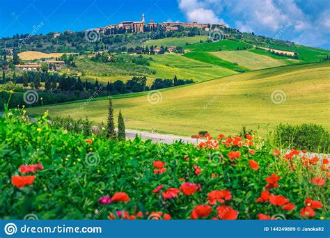 Spectacular Tuscany Cityscape And Blooming Red Poppies Pienza Italy