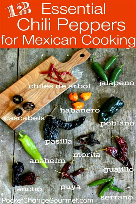 Here is our ultimate list of spanish food and cooking words, to help you do your shopping, read a spanish recipe or just for studying vocabulary. 12 Essential Chili Peppers for Mexican Cooking Recipe ...