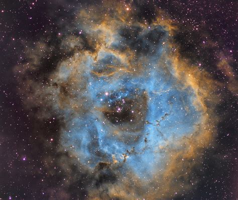 Rosette Nebula Sho Rastrophotography