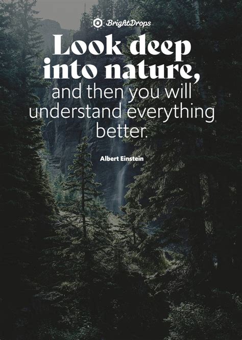 Top Inspirational Quotes About Life And Nature Don T Miss Out
