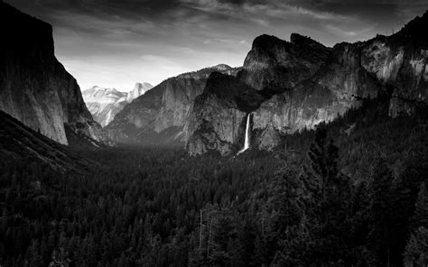 Yosemite Mountain Rock Stone Cliff Forest Trees Landscape Bw Hd