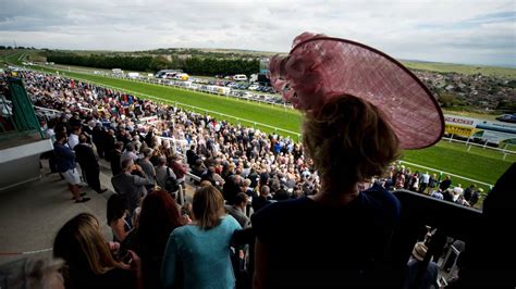 Grandstand And Paddock Enclosure Season Finale 19 Oct 2023 Brighton