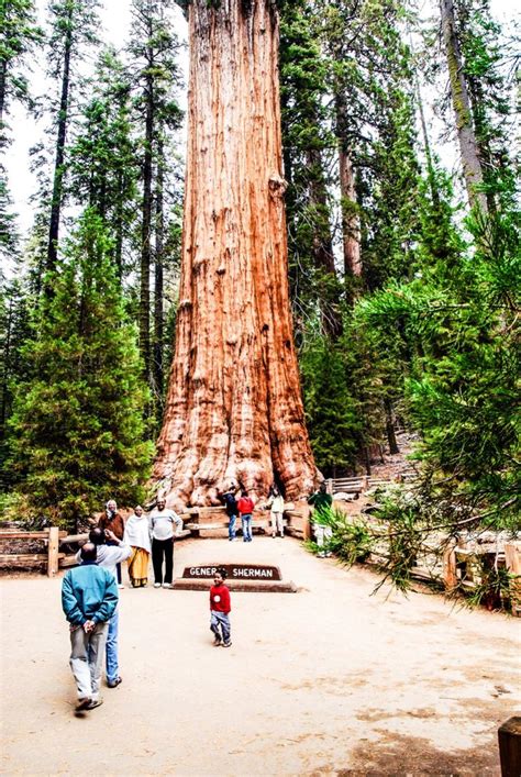 16 Epic Places To Visit In California On A Roadtrip California Travel