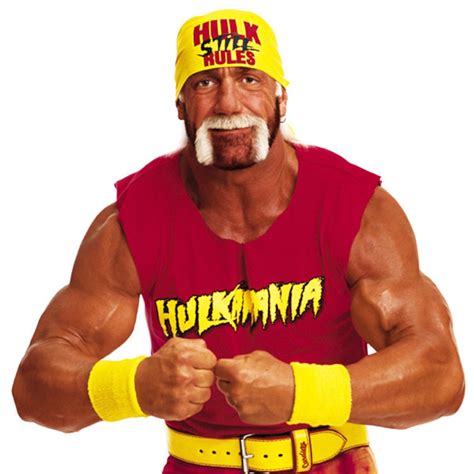 Hulk Hogan Apologizes For Racist Rant Wwe Severs Ties E Online