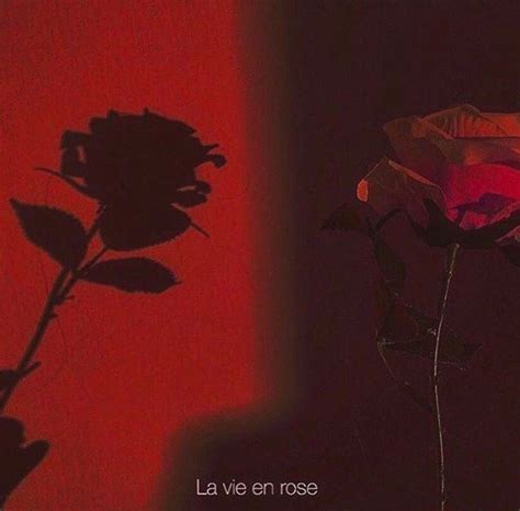 Image result for goodbye aesthetic. roses PINTEREST :::::::: alexglams INSTAGRAM ...