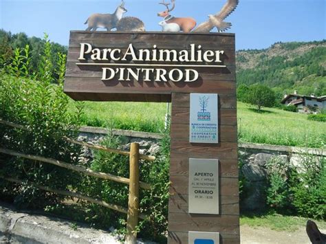 Parc Animalier Dintrod 2021 Qué Saber Antes De Ir Lo Más Comentado