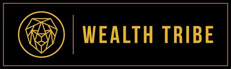Wealth Secrets Summit Millionaire Mentor Dr Dave Williams Dr