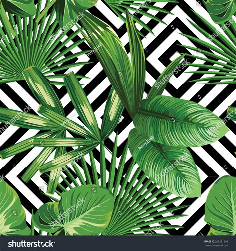 Polish your personal project or design with these tropical plants transparent. Print Summer Exotic Jungle Plant Tropical Palm Leaves ...