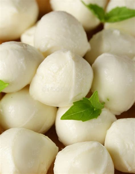 Small Balls Mozzarella Cheese With Basil Stock Photo Image Of Italian