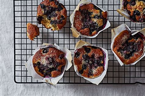 Well, too much of blueberries can cause stomach upset for your cat; Blueberry Lemon Muffins (dairy-free) | Food tasting, Lemon ...