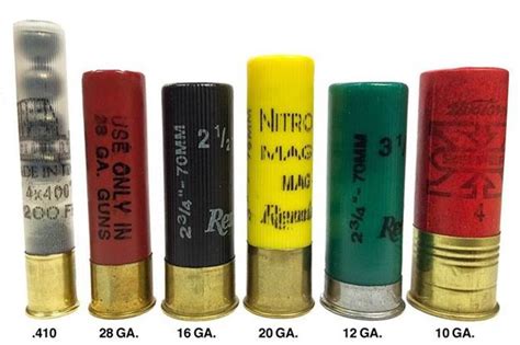 000 Buckshot Vs Slug Understanding Different 12 Gauge Shotgun Load