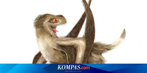 Hij leefde in het vroege krijt zo een 75 miljoen jaar geleden. Arti Dinosaurus Warna Warni - Mirip Dinosaurus Reptil 300 ...