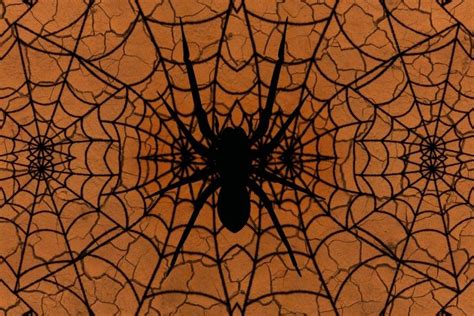 Spider Web Background ·① Wallpapertag