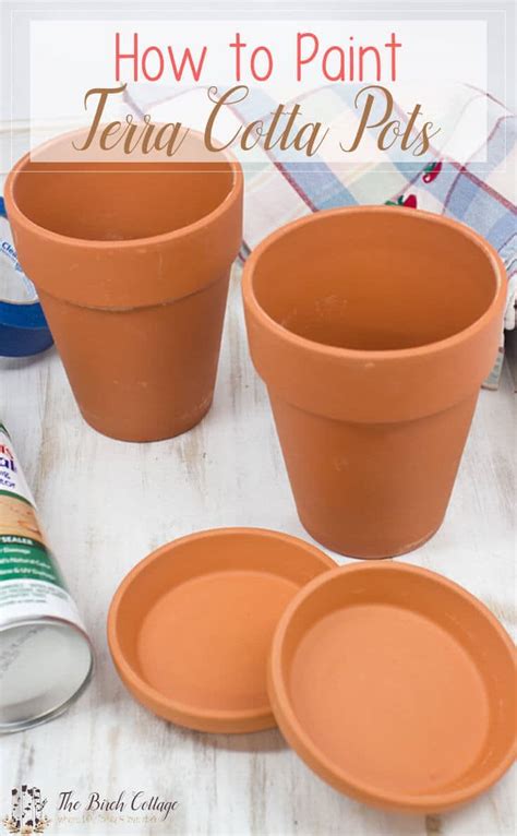 Spray Paint Plant Pots Terra Cotta Best Decorations