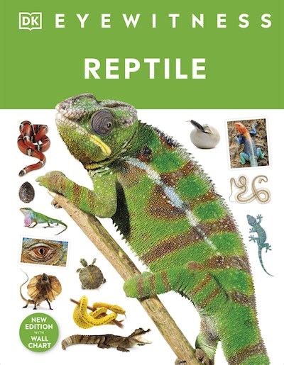 Reptile By Dk Penguin Books New Zealand