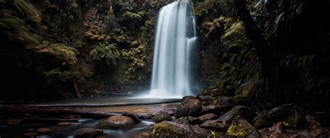 2560x1080 Waterfall Forest 2560x1080 Resolution Hd 4k Wallpapers