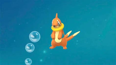 Can Buizel Be Shiny In Pokémon Go Pro Game Guides