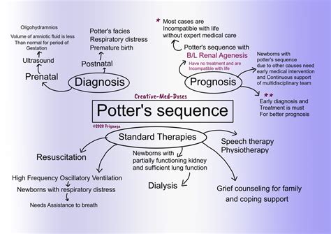 Potter's Sequence - Creative Med Doses