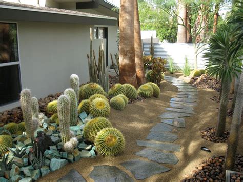 Cacti Garden Xeriscape Succulent Landscape Design Xeriscape