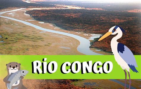 El Río Congo Donde Nace Por Qué Países Pasa Y Características