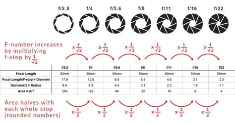 What Is F Stop In Photography A Beginner S Guide To Understanding F