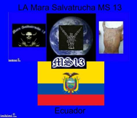 La Mara Salvatrucha Ms 13 Ecuador La Mara Salvatrucha Ms 1 Flickr