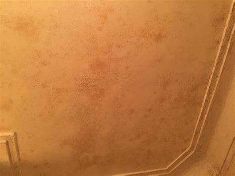 walls - Is this mold in my bathroom? - Home Improvement Stack Exchange