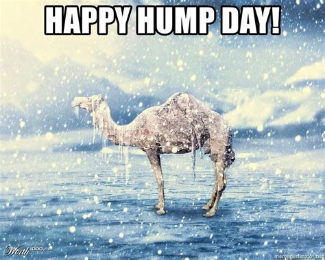 Top Happy Hump Day Memes Funny Hump Day Memes Funny Wednesday Memes Snow Day Meme
