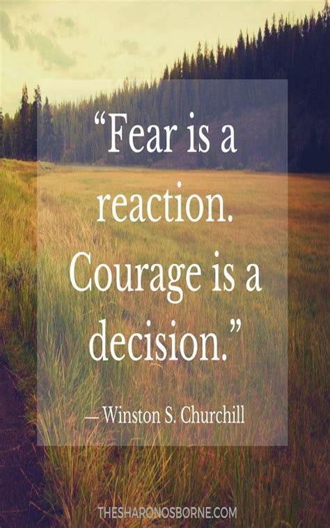 When you are afraid of the. Wisdom Quotes : QUOTE- Fear is a reaction. Courage is a ...