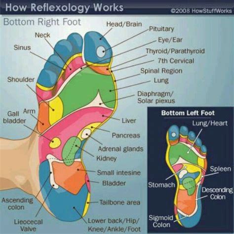 Foot Reflexology Health Reflexology Foot Reflexology Reflexology Massage