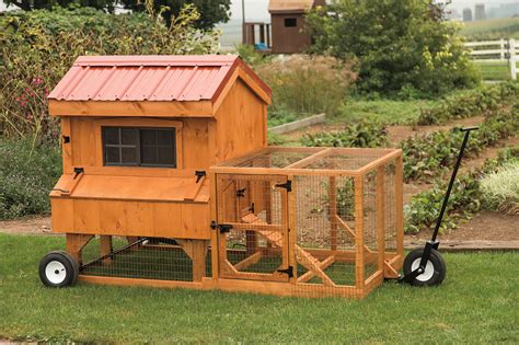 Free Chicken Coops Plans Shed Yard Standard Chicken Coop With