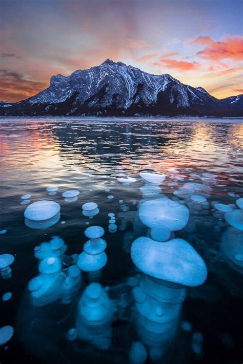 Abraham Lake Bubbles A Guide To Visiting Hike Bike Travel