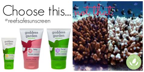 Here's a list of 15 sunscreens that are considered reef safe along with a description of the toxic sunscreen ingredients to avoid. Mommy Greenest Approved: Goddess Garden Organics Reef-Safe ...