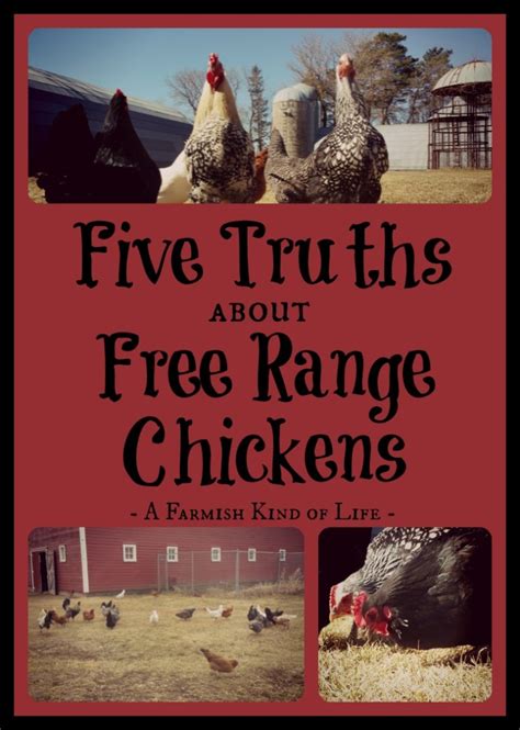 Active infections of the common worms affecting poultry: Free Range Chickens: 5 Truths To Know - A Farmish Kind of Life