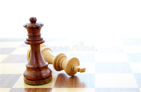 Check Mate Stock Image Image Of Mate Knight Game Board 25879105