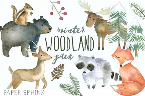 Winter Woodland Animals Clipart Watercolor Forest Animals Winter