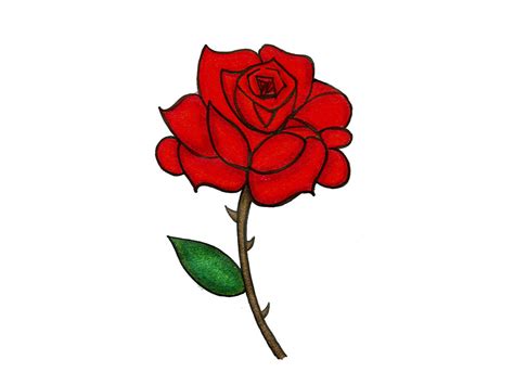 Rose Cartoon Drawing Free Download On Clipartmag