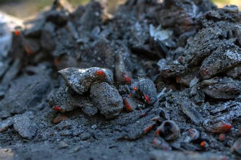 Ashes Charcoal Covered In Ash With Red Patches Stock Image Image Of