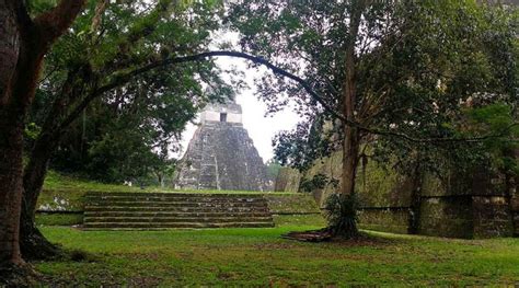 Tikal cuna de la civilización maya 4 Maya Tikal
