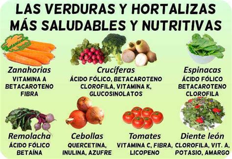 ¿cuáles Son Las Verduras Más Saludables Botanical Online