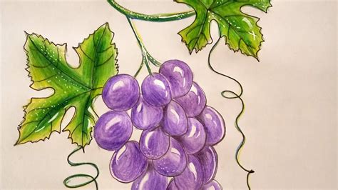 How To Draw Grape Easy For Beginners Youtube