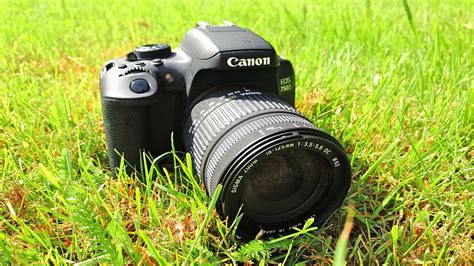 Top 5 Best Canon Dslr Camera The Active Action