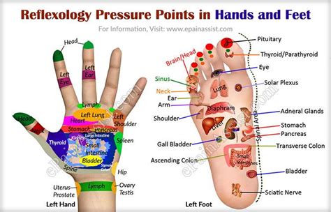 Pin By Joyce On Shiatsu Reflexology Pressure Points Hand Pressure