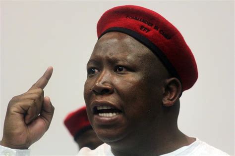 Malema used the platform to celebrate his party's growth and . Julius Malema Is Definitely The Trump Of South Africa