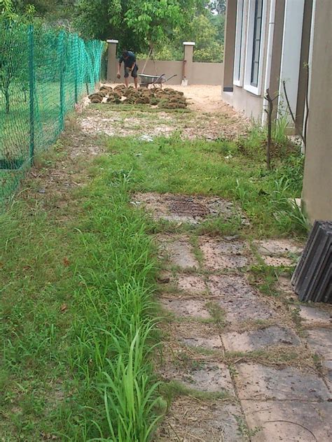 Kesalahan input data/proses yang sering terjadi : Khidmat tanam rumput,lanskap n pokok buah2an