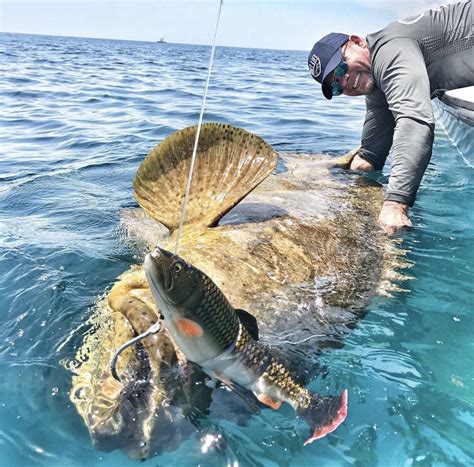 How To Catch Goliath Grouper With Capt Ben Chancey