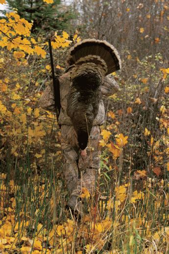 How To Hunt Fall Turkeys For Your Thanksgiving Feast Types Of