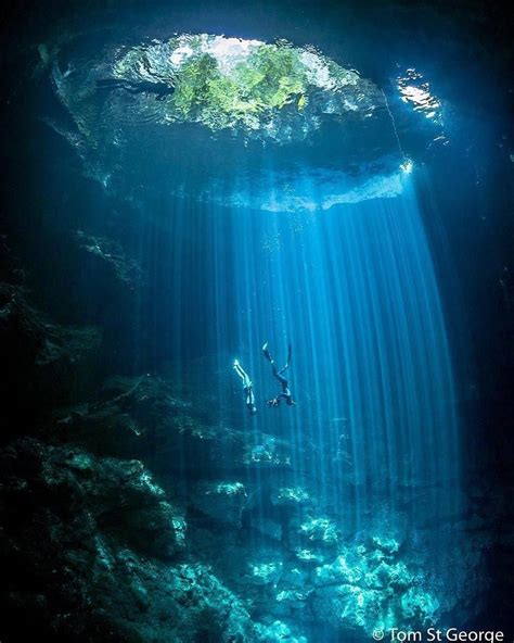 Descending Through The Light Beams In A Cenote In Tulum 💦 🇲🇽 Pc Tomst