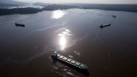 Politicians Trade Blame Over Vancouver Fuel Spill Response CTV News
