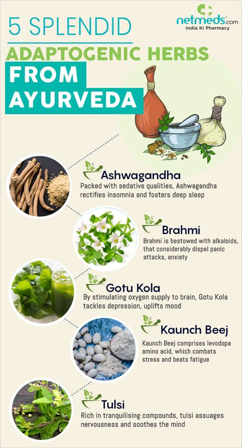 Adaptogens 5 Brilliant Ayurvedic Herbs To Pacify Stress And Promote